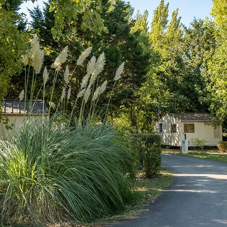 Кемпинг Les Mizottes