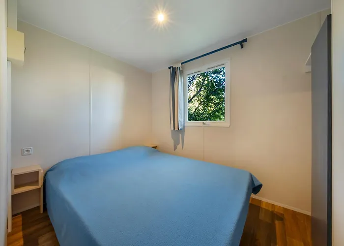 キャンプ場 Les Mizottes 4*