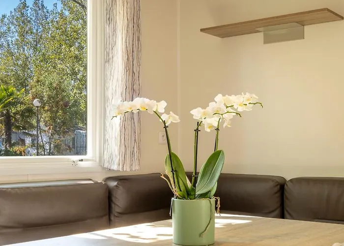 Camping Les Mizottes